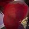 meesteres-serenna-bdsm-via-kinky-68ecf3f46414c600131a6725
