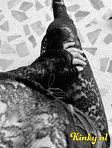 ana-bdsm-via-kinky-69737ad8bce2af0014646b98