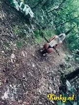 lisa-escort-via-kinky-6658bd1497e41a001af6622d