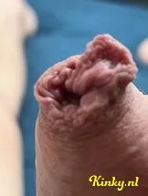 martin-escort-via-kinky-6833258d3cd0cf00131c8d3a