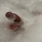 styn-prive-ontvangst-via-kinky-67350235f8cde200130680ed