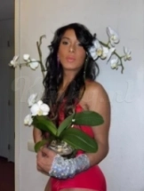 diandra-prive-ontvangst-via-kinky-6786583f3a3591001292c21b