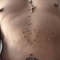 jo-ann-prive-ontvangst-via-kinky-6887668529a2270013613028