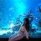 dani-prive-ontvangst-via-kinky-66716dca123fc5001a39e43d