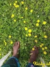 mamba-prive-ontvangst-via-kinky-68b843249ee34c00133c9cf2