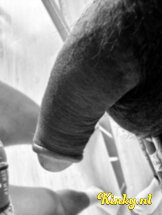 robert-prive-ontvangst-via-kinky-66a388514079bc0013d76c56