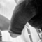 robert-prive-ontvangst-via-kinky-66a388514079bc0013d76c56