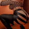 laura-prive-ontvangst-via-kinky-688726d43cd0cf00131d1592