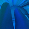 mila-prive-ontvangst-via-kinky-677ac12d3a3591001292b09a