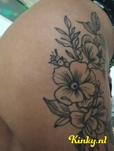 dulce-prive-ontvangst-via-kinky-66c4c482707227001423b92d