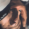 dante-prive-ontvangst-via-kinky-68ab97b04e6e2c0013d92240