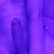 andrew-prive-ontvangst-via-kinky-66dc4020f692b90014a23b35