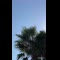 video thumb