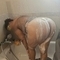 maria-prive-ontvangst-via-kinky-66d9c8bd707227001423ded4