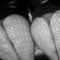 aanbieding-sletjes-escort-via-kinky-672e1b310d7f8200139161b3