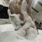 tea-virtual-sex-via-kinky-6890e39331f4b00013baa7ba