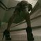 chloe-prive-ontvangst-via-kinky-68d24fab2f74810013c834e7