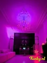 regênt-privehuis-in-den-haag-693c130c660f0a0013516c71