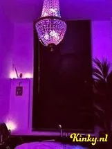 regênt-privehuis-in-den-haag-693c130d3d468d00129002a9