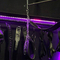 regênt-bdsm-studio-in-den-haag-67b1ee45cf1fdb0013c3cbcd