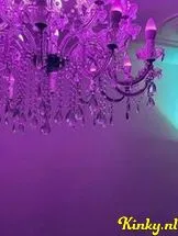 regênt-privehuis-in-den-haag-68c18a31f6c6eb0013e5cd77