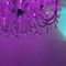 regênt-bdsm-studio-in-den-haag-68c18a31f6c6eb0013e5cd77