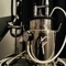 miss-d-bdsm-via-kinky-67d6f69d7e02970013a37b80