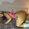 cindy-prive-ontvangst-via-kinky-684ad67131f4b00013ba387c