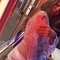 kimmie-escort-via-kinky-67d1dc7a7bb70c00137fafb9
