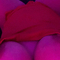 leoni-prive-ontvangst-via-kinky-68247a18375bfd001318a7ba