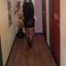 bibi-prive-ontvangst-via-kinky-68aeee079ee34c00133c900d