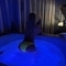 renata-escort-via-kinky-6834d716375bfd001318bf12