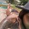 leily-prive-ontvangst-via-kinky-684b6fed6f455c0013d02952
