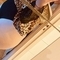 emma-prive-ontvangst-via-kinky-67813af8ff530e0013359e34