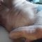 lex-prive-ontvangst-via-kinky-68e02846b6e471001315f472