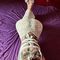sara-escort-via-kinky-68f77dd0aef88e0013c99302