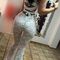sara-escort-via-kinky-68f77dd25a625a00138a9f8d
