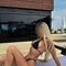 carla-prive-ontvangst-via-kinky-68befd07c6b8b100141b5d9e