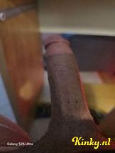 shakira-ts-prive-ontvangst-via-kinky-6940e149a4621a0013049061