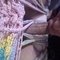 cleopatra-prive-ontvangst-via-kinky-68ac730e4e6e2c0013d9249d