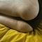 meesh-prive-ontvangst-via-kinky-676ef11426791600136d14a6