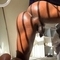 abigail-prive-ontvangst-via-kinky-6772617677be71001330bf85