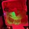 gya-prive-ontvangst-via-kinky-68e2eeec918ef40013943b7e