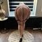 laila-prive-ontvangst-via-kinky-68db8c09c6c1e00013daa6ae