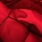 bram-prive-ontvangst-via-kinky-6874b3429e10cc001344afc2