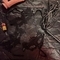 angela-prive-ontvangst-via-kinky-67c737a37c25c70013772afb
