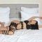 aisha-escort-via-kinky-68c8893839a405001305d0b7