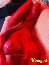 cinderella-prive-ontvangst-via-kinky-69b1486db7b81300137250b6