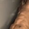 max-prive-ontvangst-via-kinky-686e66db9e10cc001344a3a2