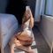 lauren-prive-ontvangst-via-kinky-68f24fc9665fb20013632a26
